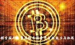 探索国外免费虚拟币消费平台的魅力与机遇