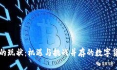 虚拟币的现状：机遇与挑战并存的数字货币世界