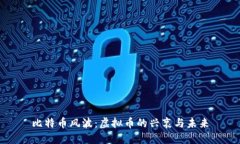 比特币风波：虚拟币的兴衰与未来