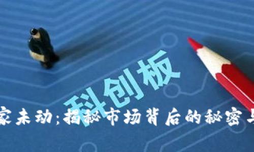 虚拟币庄家未动:揭秘市场背后的秘密与投资策略