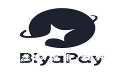 探索《龙珠斗士》中的虚拟货币：提升游戏体验