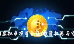 2023年热门虚拟币项目合集：投资机遇与市场前景