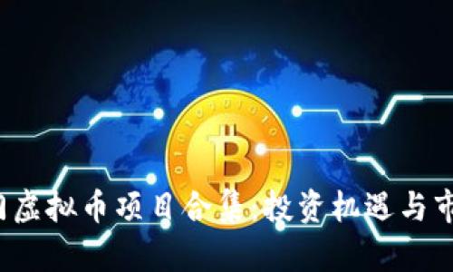2023年热门虚拟币项目合集:投资机遇与市场前景分析