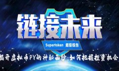 揭开虚拟币PY的神秘面纱：如何把握投资机会？