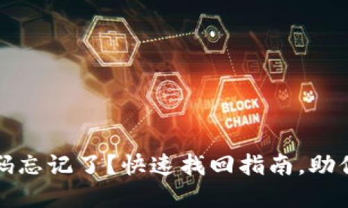 TP钱包密码忘记了？快速找回指南，助你安全无忧