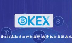 揭开BRE虚拟币的神秘面纱：投资机会与潜在风险