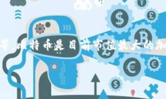 中国最大虚拟币通常指的是比特币（Bitcoin），不
