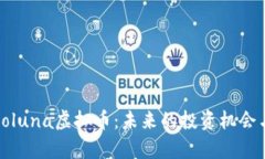 深入解析Soluna虚拟币：未来的投资机会与实用价