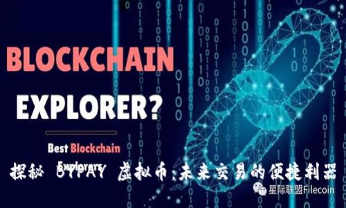 探秘 BYPAY 虚拟币：未来交易的便捷利器