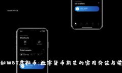 探秘WBT虚拟币：数字货币新星的实用价值与前景