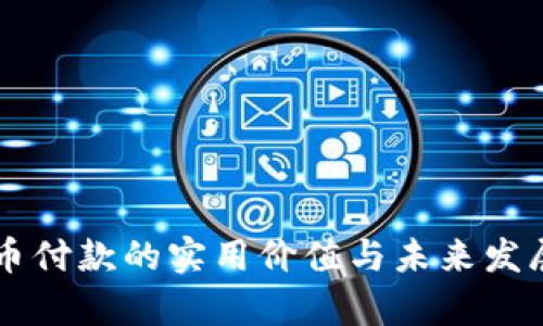 虚拟币付款的实用价值与未来发展分析