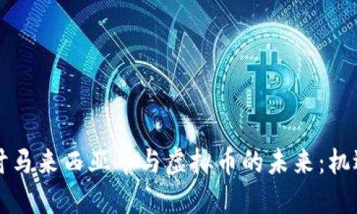 深入探讨马来西亚币与虚拟币的未来:机遇与挑战