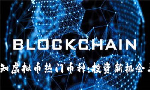 2023年必知虚拟币热门币种:投资新机会与潜在风险