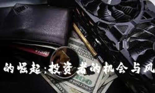 虚拟币的崛起：投资者的机会与风险分析