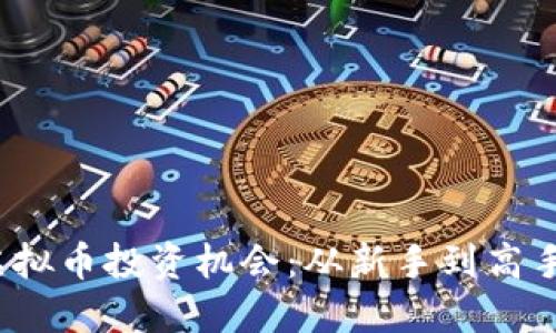 把握SAMA虚拟币投资机会：从新手到高手的实用指南