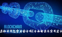 虚拟币钱包密盾安全吗？全面解读及实用建议