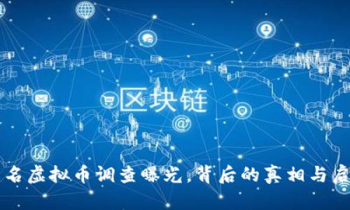 知名虚拟币调查曝光,背后的真相与启示