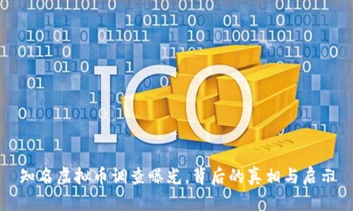 知名虚拟币调查曝光,背后的真相与启示