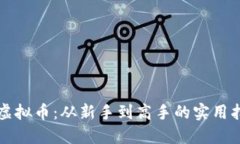 IS虚拟币：从新手到高手的实用指南