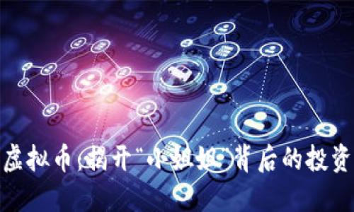 做空虚拟币：揭开“小姐姐”背后的投资秘诀