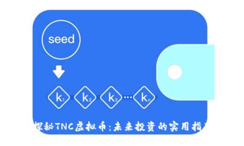 探秘TNC虚拟币：未来投资的实用指南