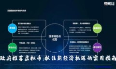 政府推荐虚拟币：抓住新经济机遇的实用指南