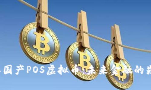 2023年国产POS虚拟币：未来金融的先锋力量