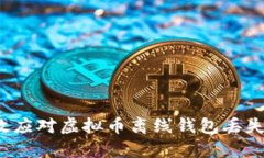 如何有效应对虚拟币离线钱包丢失的危机？