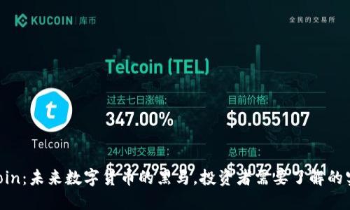 HorseCoin：未来数字货币的黑马，投资者需要了解的实用价值