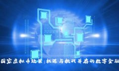 探讨国家虚拟币政策：机遇与挑战并存的数字金