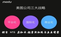 探索 NTS 虚拟币：投资新机遇与未来前景