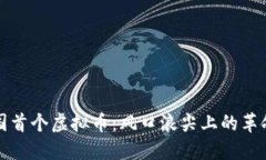 揭秘中国首个虚拟币：风口浪尖上的革命性创新