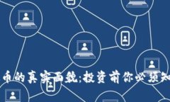 网络虚拟币的真实面貌：投资前你必须知道的事