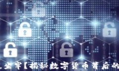 玩虚拟币，坐牢？揭秘数字货币背后的法律风险