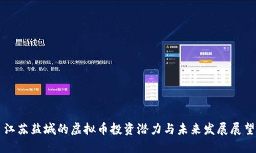 江苏盐城的虚拟币投资潜力与未来发展展望