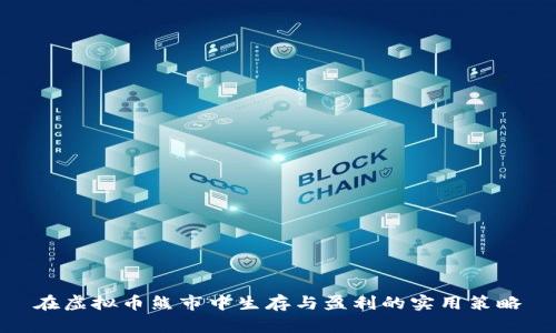在虚拟币熊市中生存与盈利的实用策略