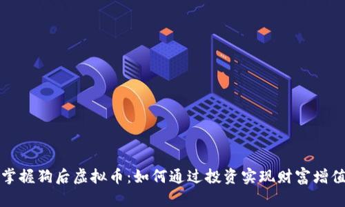 掌握狗后虚拟币：如何通过投资实现财富增值