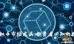 深入解析虚拟币市场龙头：投资者必知的数字货