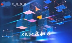 casc虚拟币