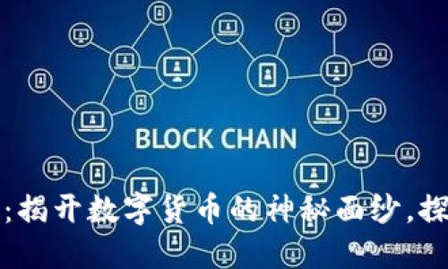 虚拟币诗碧：揭开数字货币的神秘面纱，探索潜在机遇