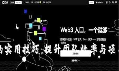 TP管理的实用技巧：提升团队效率与项目成功率