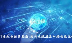 BIDT虚拟币投资指南：为什么现在是入场的最佳时