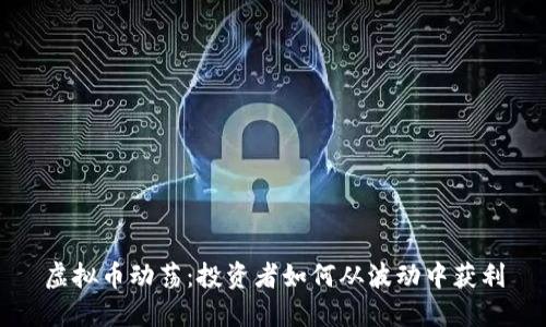 虚拟币动荡：投资者如何从波动中获利