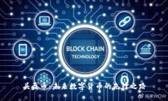 头盔币：未来数字货币的先锋之路