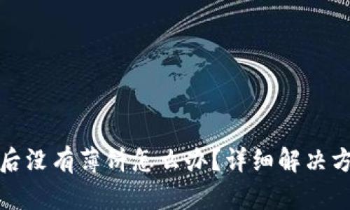 TP钱包新下载后没有薄饼怎么办？详细解决方案与实用技巧