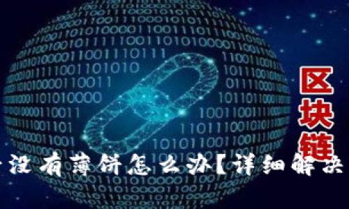 TP钱包新下载后没有薄饼怎么办？详细解决方案与实用技巧