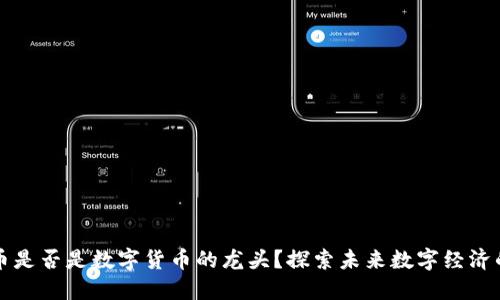 虚拟币是否是数字货币的龙头?探索未来数字经济的趋势