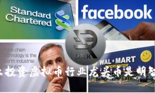 为什么投资虚拟币行业龙头币是明智之举?