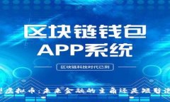 大型虚拟币：未来金融的主角还是短暂泡沫？