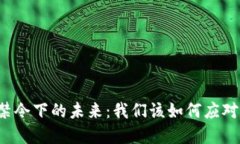 虚拟币禁令下的未来：我们该如何应对与适应？